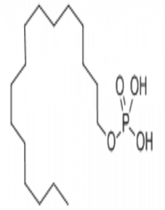 Cetyl Phosphate